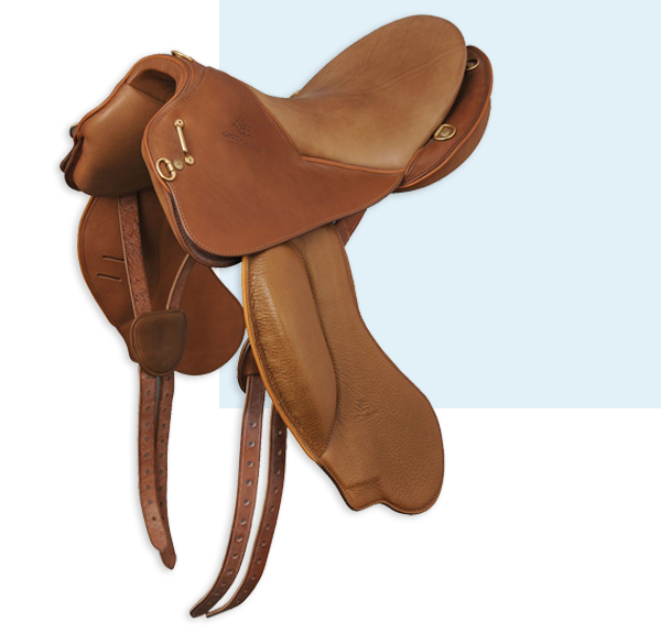 Matériel équitation occasion