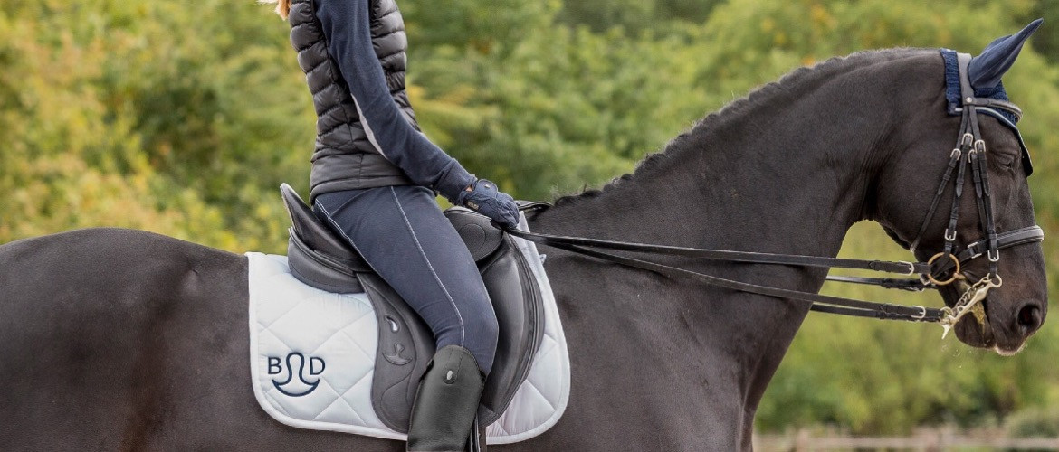 Comment choisir la selle de dressage idéale ?
