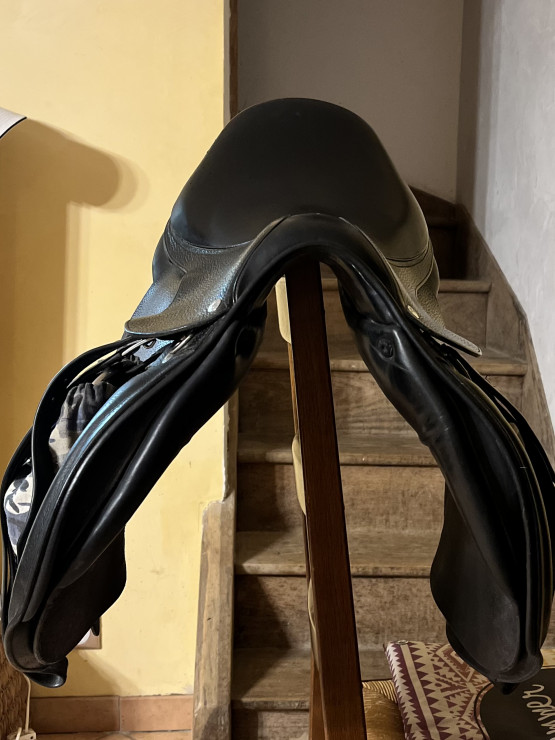 Selle Rebelle Sellier occasion