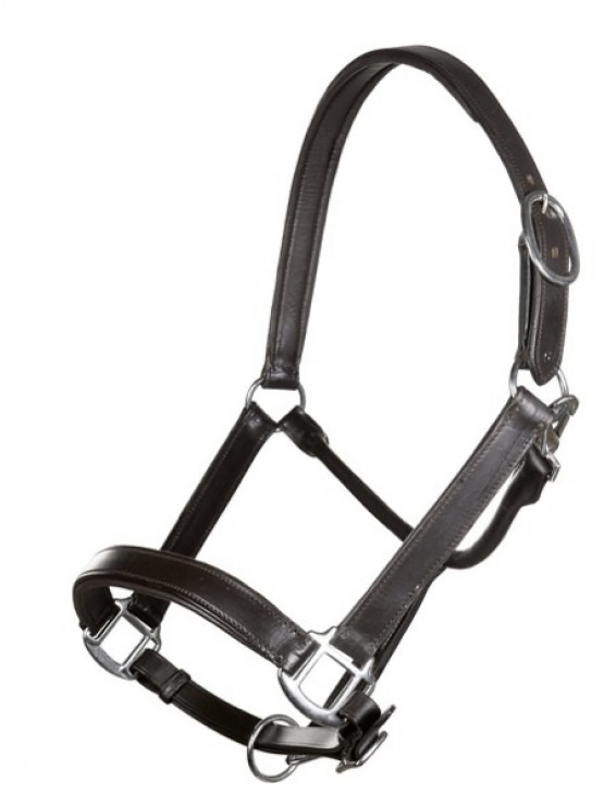 Licol Cuir HKM Marron occasion