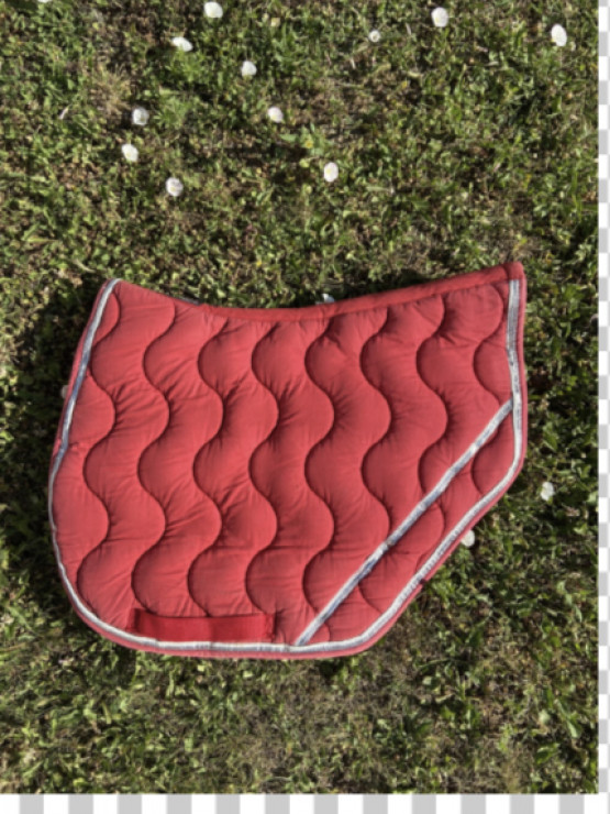 Tapis rouge Equitheme occasion
