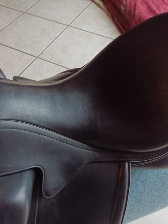 Selle Aulion Dressage occasion