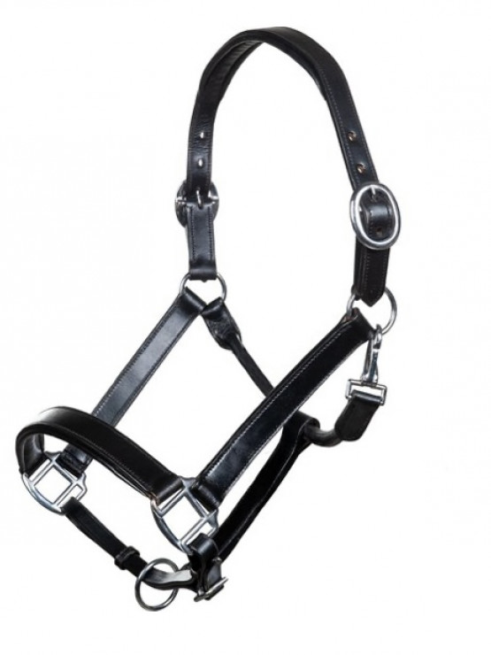 Licol Cuir noir HKM occasion