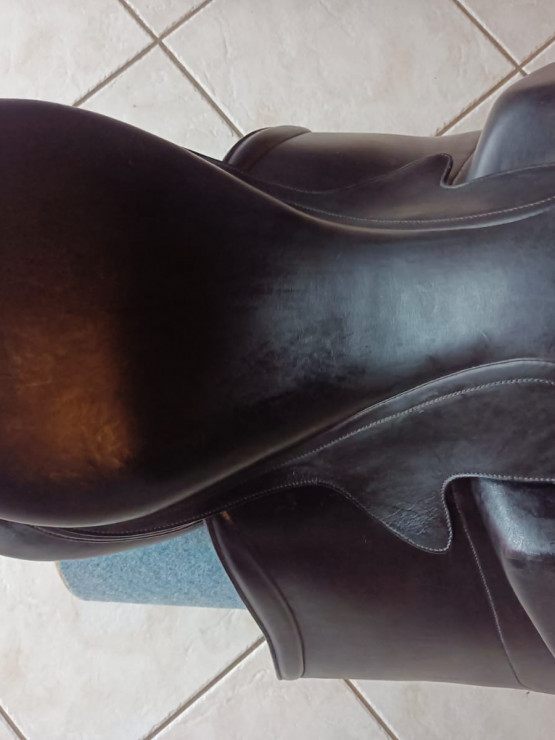Selle Aulion Dressage occasion