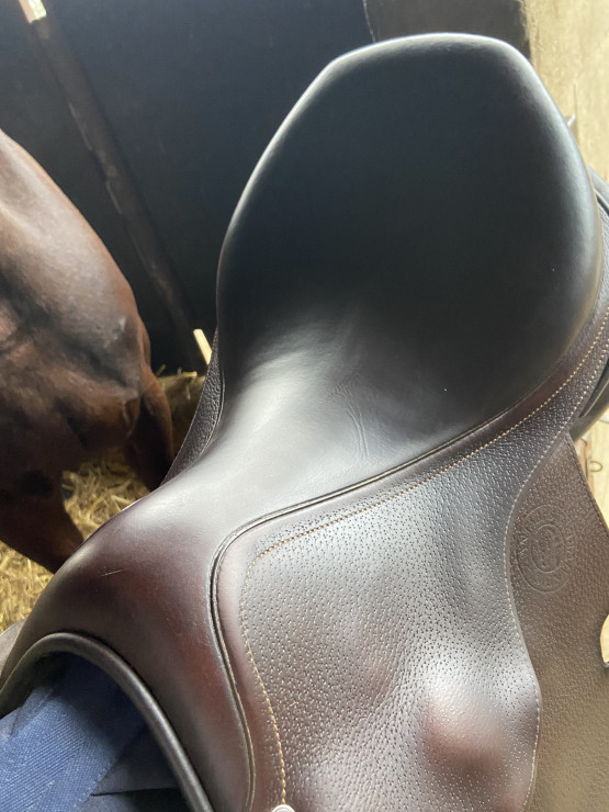 Selle Antares Signature occasion