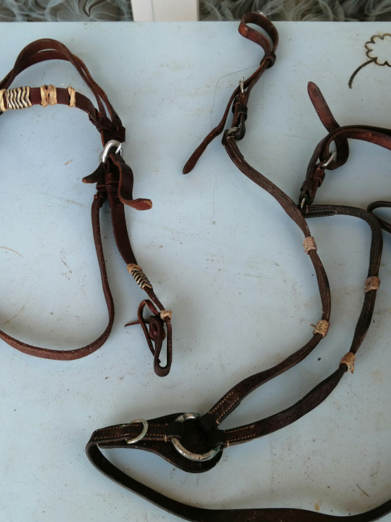 Filet + collier de chasse assorti occasion