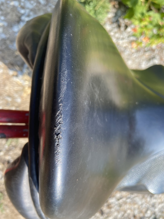 Selle Rebelle Sellier occasion