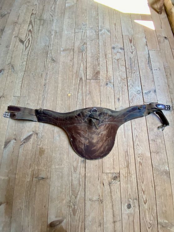 Bavette CWD occasion