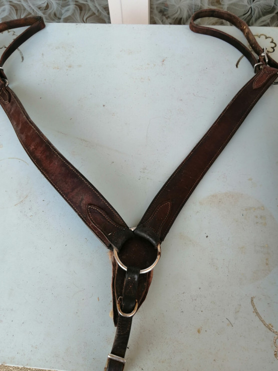 Collier de chasse cuir occasion