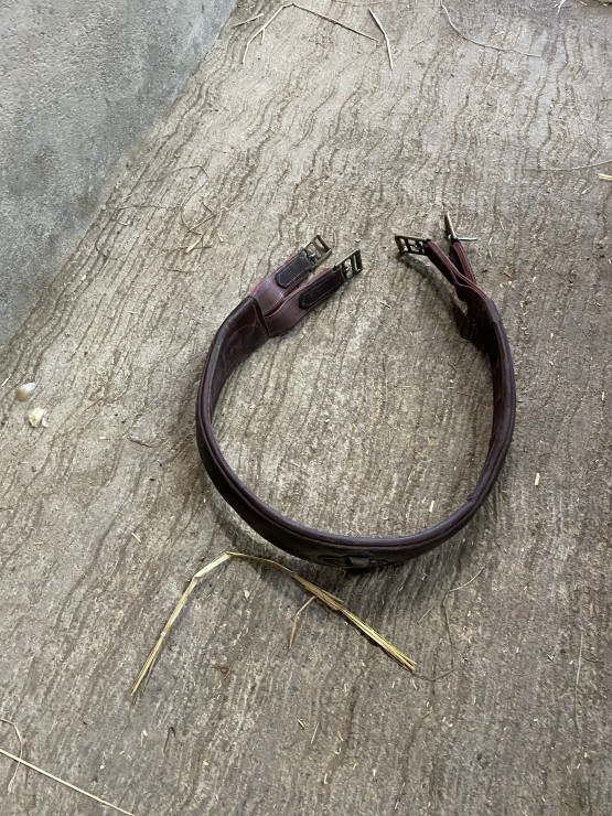 Sangle cuir occasion