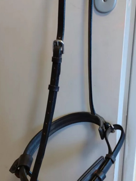 Muserolle pull back occasion