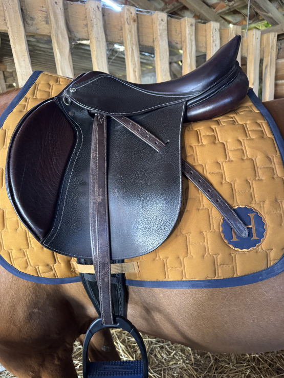 Selle mixte Privilège Equitation Lyon 17,5 pouces (2020) occasion
