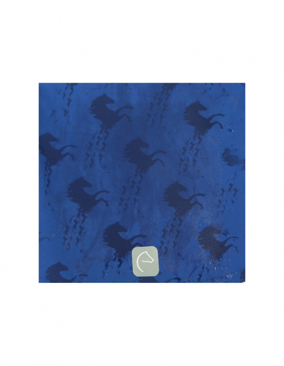 blouson Softshell Equi-kids Amandine bleu (6 ans) neuf occasion