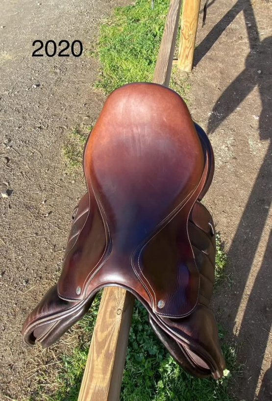 Selle obstacle Forestier Séoul 17 pouces (2020) occasion