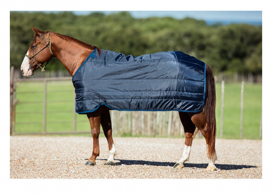 Liner Horseware Amigo 200g bleu marine 155 cm occasion