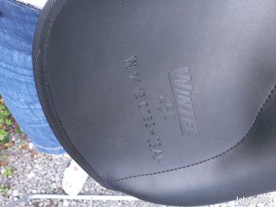 Selle Wintec 250 (2018) occasion