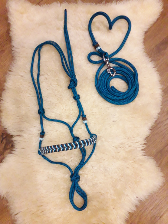 Licol éthologique & longe 3 m (pur sang) neuf occasion Licol éthologique & longe 3 m (pur sang) neuf occasion