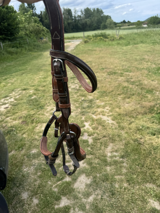 Filet Jump’in occasion