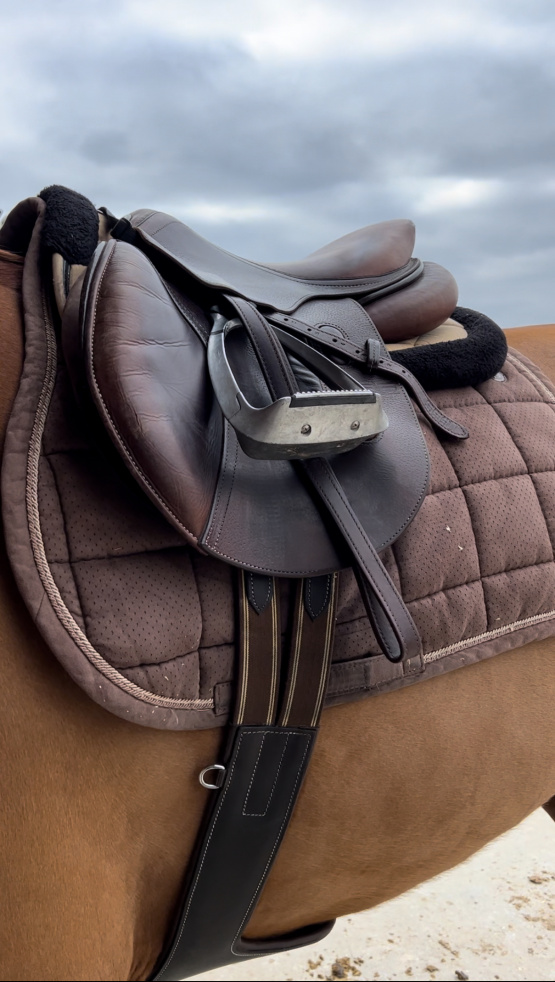 Tapis de selle & amortisseur Equithème marron occasion