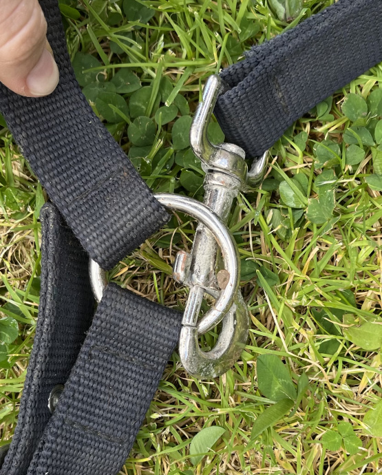 Licol de contrôle Eskadron (cheval) occasion