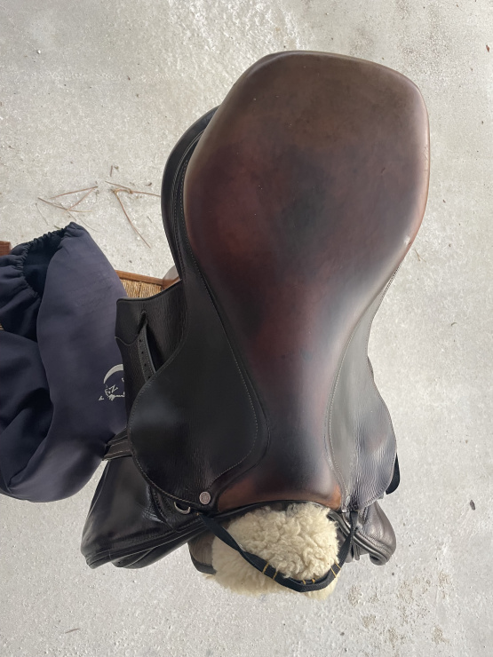 Selle Antares occasion
