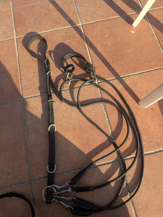 Gogue élastique et rênes noires (cheval) occasion