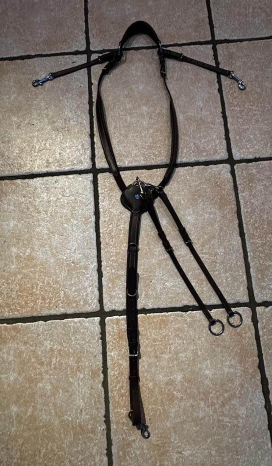 Collier de chasse et anneaux de martingale Norton (pur sang) neuf occasion