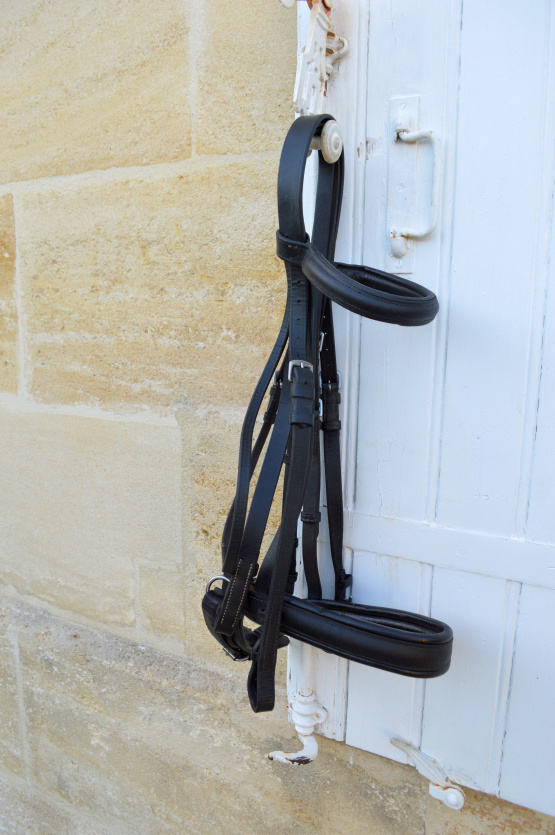 Bride Pagony en cuir doublé (cheval) occasion