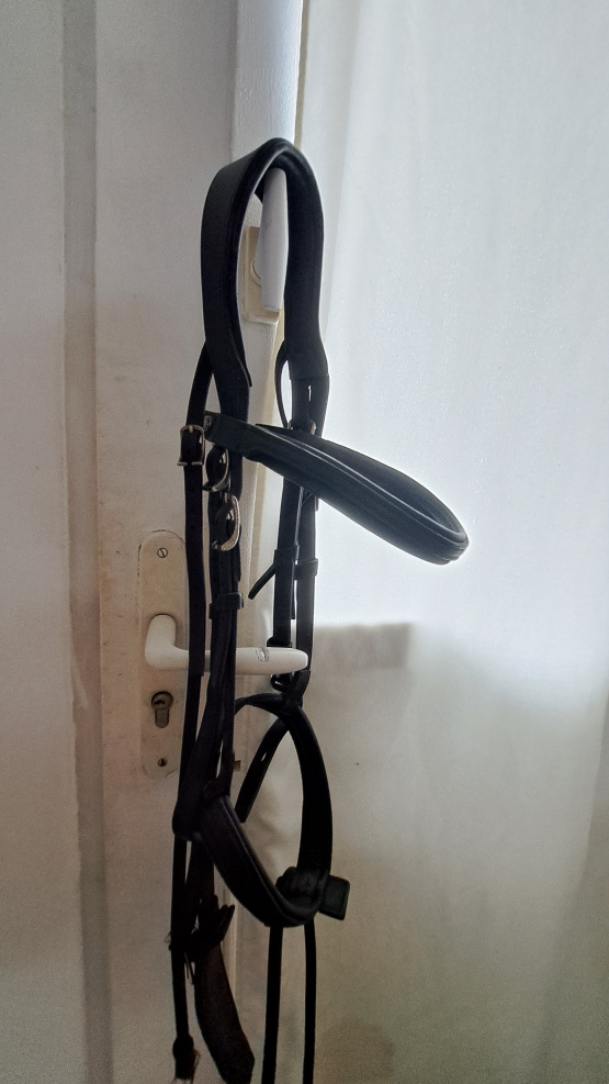 Filet Antarès occasion