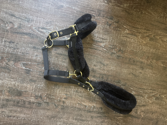 Licol moumoute sans longe (cheval) neuf occasion