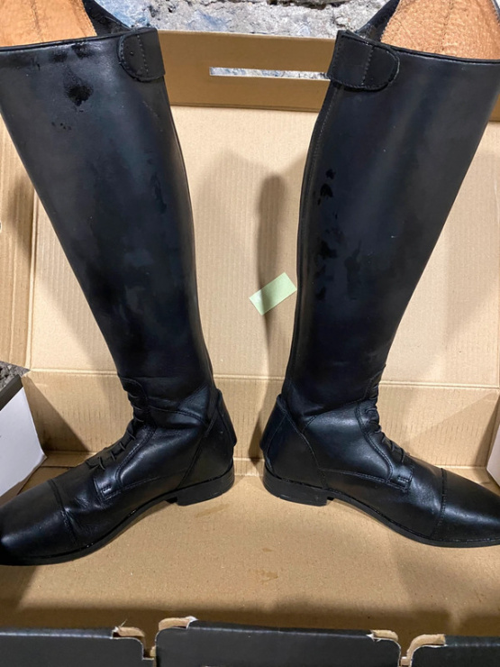 Bottes équitation Steeds Brasilia (37) occasion