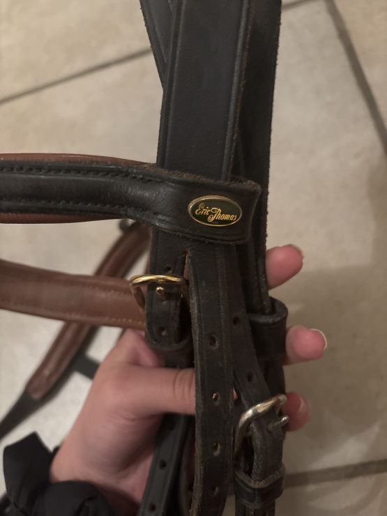 Filet Eric Thomas marron & noir (cheval) occasion
