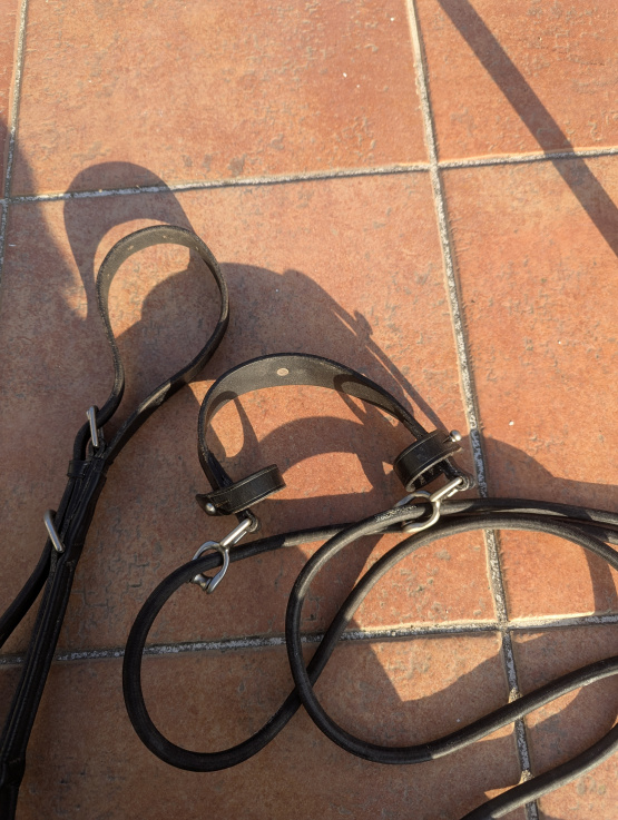 Gogue élastique et rênes noires (cheval) occasion