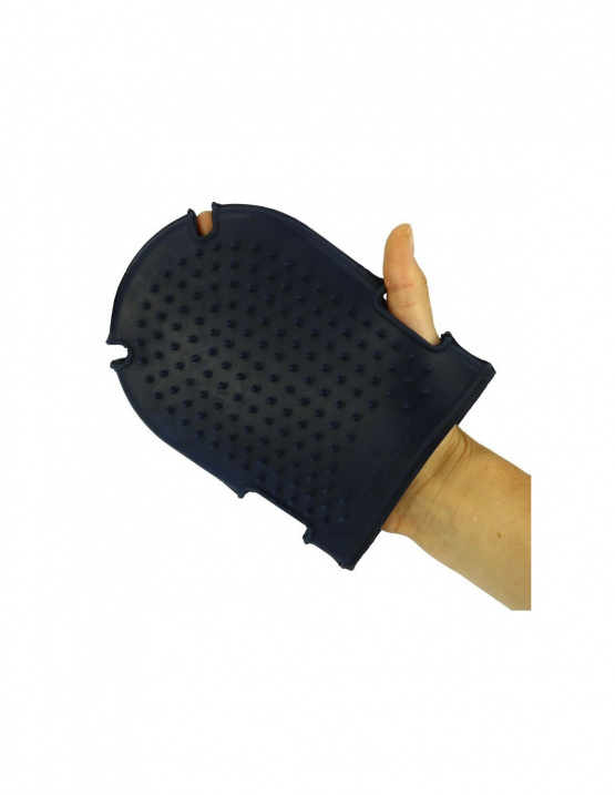 Gant étrille + brosse Hippotonic bleu (neuf) occasion
