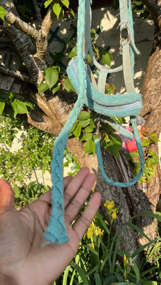 Licol turquoise (double poney) occasion