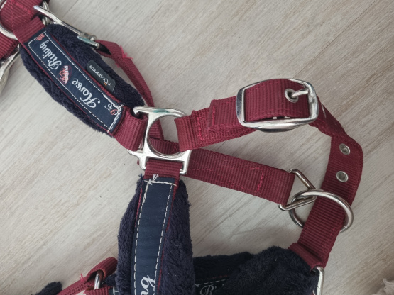 Licol Fouganza bordeaux (poney) occasion