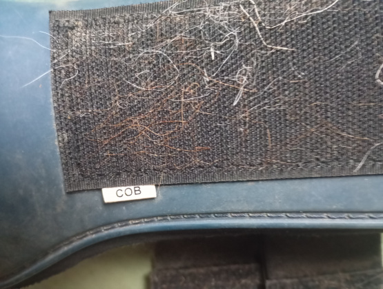 Guêtres Norton bleu (cheval) occasion