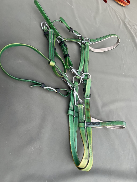 Filet / bride Norton synthétique vert (cheval) occasion