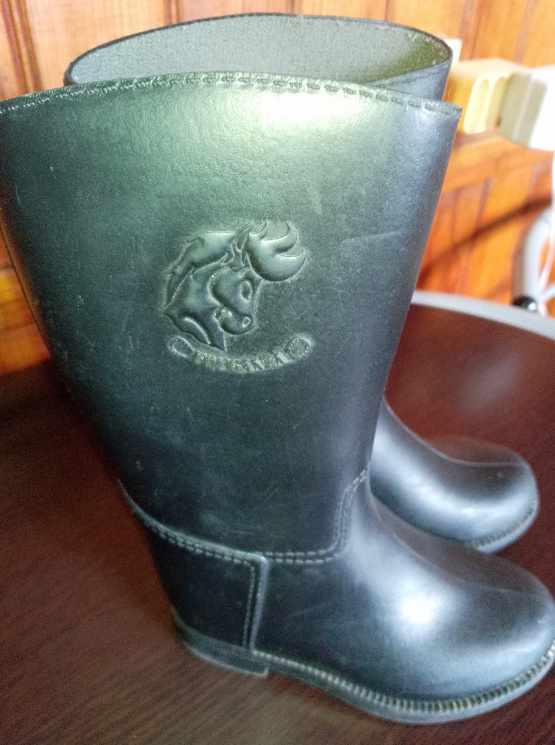Bottes équitation Fouganza caoutchouc noir (25) occasion