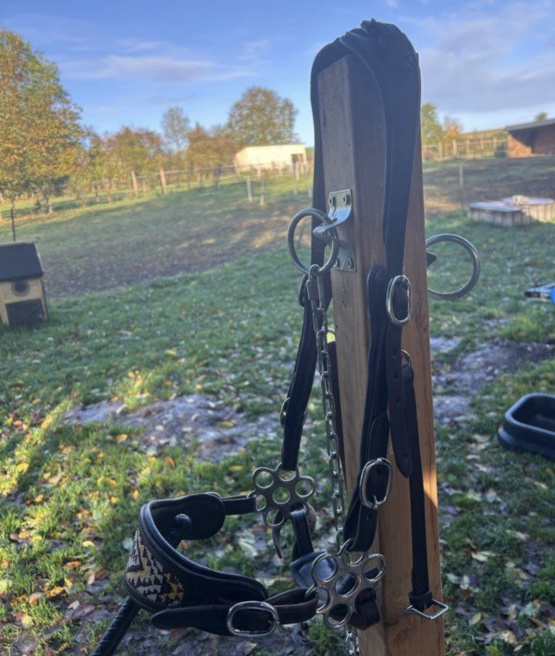 Hackamore Edix Saddles (cheval) neuf occasion Hackamore Edix Saddles (cheval) neuf occasion