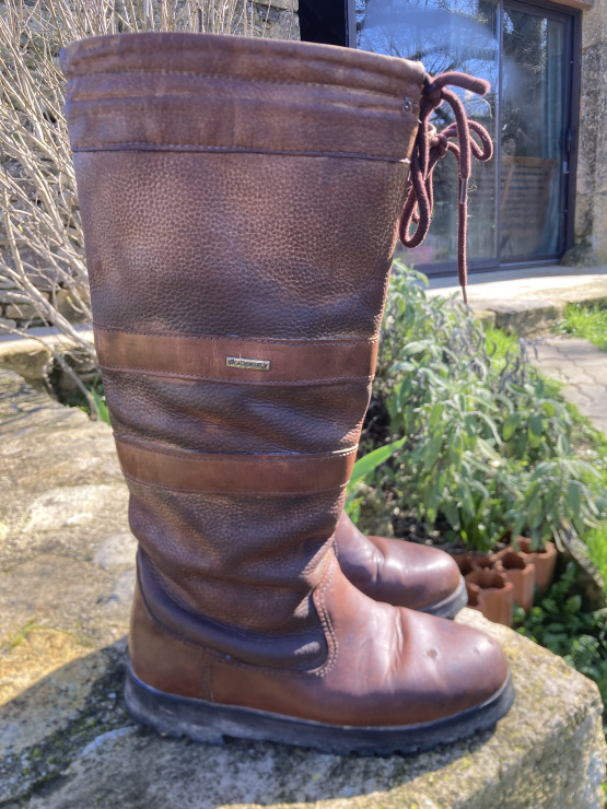 Bottes équitation Dubarry T40 occasion