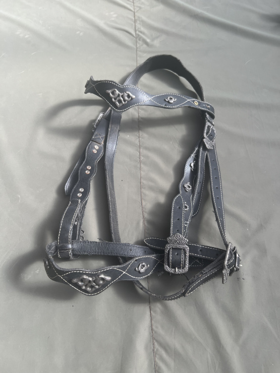 Filet bride noir ornement bagues argentées (cheval) occasion