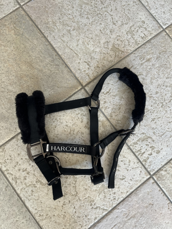 Licol Harcour noir (poney) neuf occasion