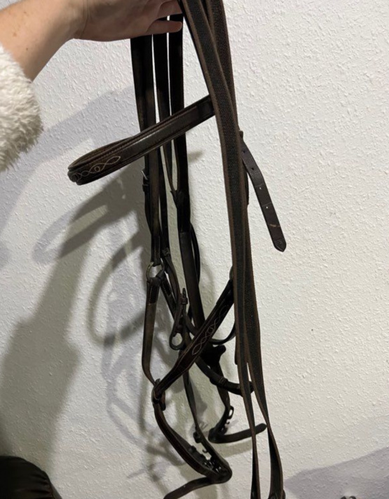 Filet / bridon cuir muserolle croisée (cheval) occasion