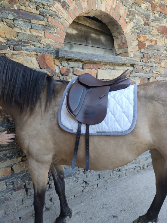 Selle dressage Stubben Juventus 17 pouces (2022) occasion