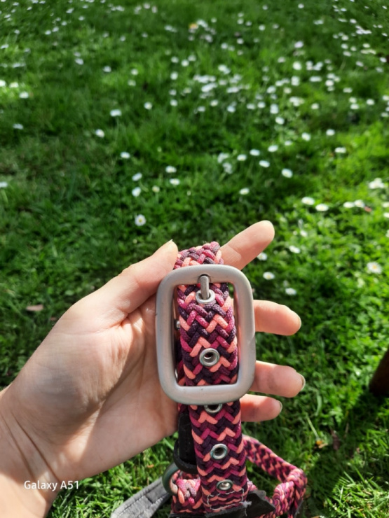 Licol Fouganza tressé rose (cob) occasion