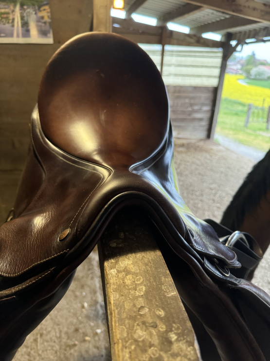 Selle mixte Bates Caprilli care 17,5 pouces (2012) occasion