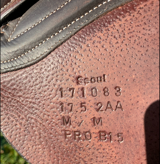 Selle forestier Séoul occasion