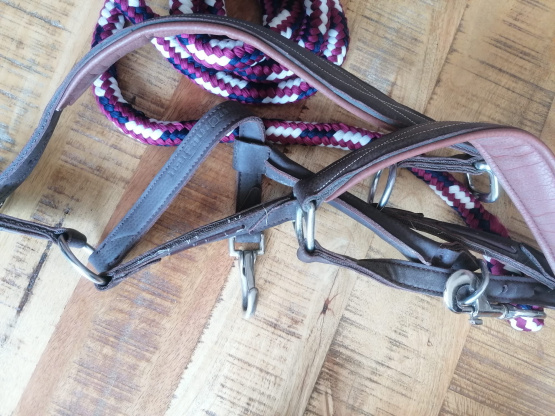 Licol Fouganza & longe norton (cheval) occasion