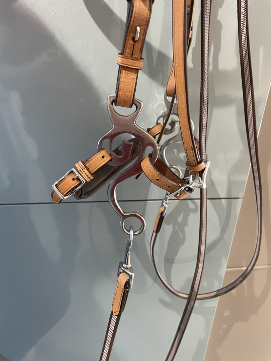 Bridon hackamore (cheval) neuf occasion
